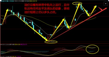 原油投资空头回补是什么意思？