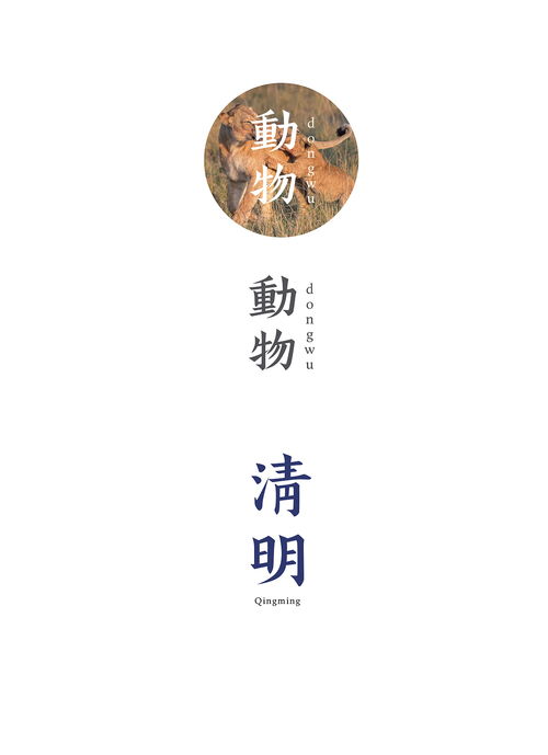 先取名 字悦班马宋刻本 吧,疫情在家的作品