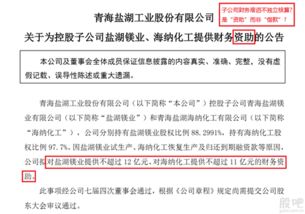 青海盐湖海纳化工有限公司薪资待遇怎么样啊? 一个月多少钱啊，具体说下，谢谢了