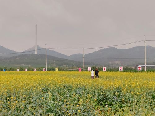 辽宁沈阳法库龙山街道