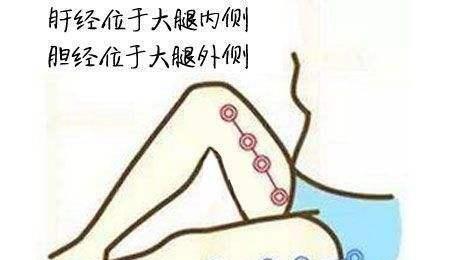 肝经胆经不能随便敲 正确敲胆经瘦大腿方法