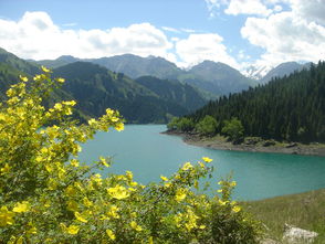 新彊天山天池景区停车场,能停多少台汽车 (天山免费停车场)