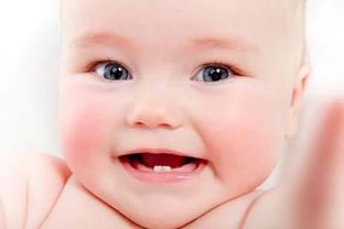 婴儿乳牙(宝宝几个月开始长乳牙)