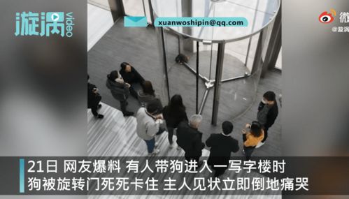 狗狗被卡旋转门女主人崩溃大哭 ,物业只能砸门救狗 她未提赔偿