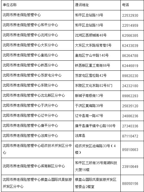 沈阳养老保险费查询沈阳市养老保险查询个人账户明细查询