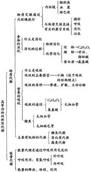 生物必修二知识