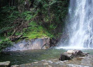 仙姑瀑布 仙姑瀑布风景区,仙姑瀑布旅游攻略指南 