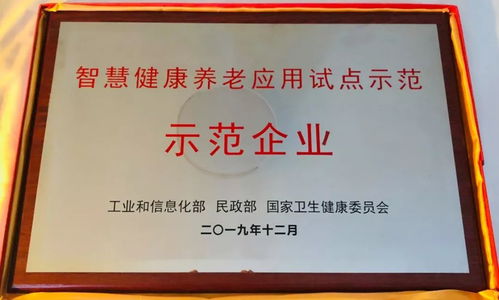 喜报 集团荣获国家三部委授予的 智慧健康养老应用试点示范企业 称号