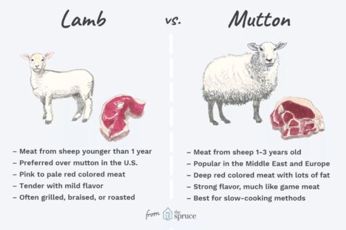 今天吃肉 羊肉 的英文到底是mutton还是lamb 原来区别这么大