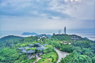 我梦见了紫色风,也吹不醒我看海的梦 温州洞头岛,苍南游记