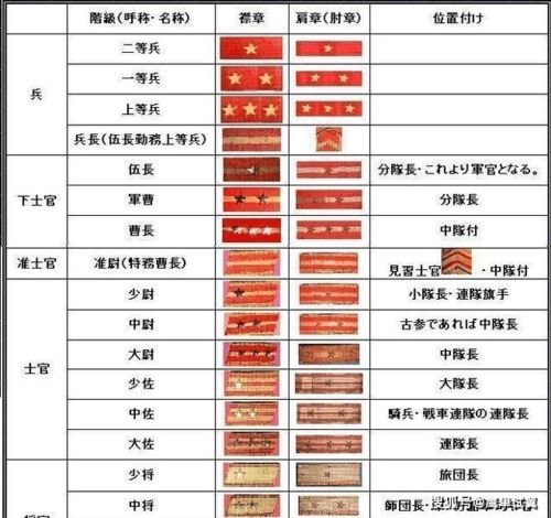 日本军曹是什么级别军官 指挥多少人