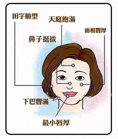 女人面相学图解,全方位了解你的富贵