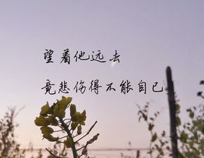 一晃就老了,懂了什么叫失去