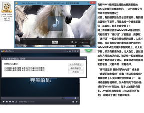 fairuse4wm(如何破解wmv文件)