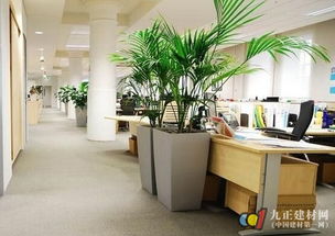 办公台放什么植物好 办公桌上摆放什么吉利