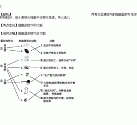 在小麦根尖细胞中.具有双层膜结构的细胞器是 A.叶绿体和线粒体 B.叶绿体C.线粒体 D.高尔基体 题目和参考答案 青夏教育精英家教网 