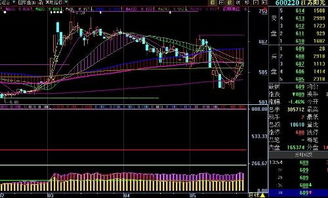 600220着股怎么样?