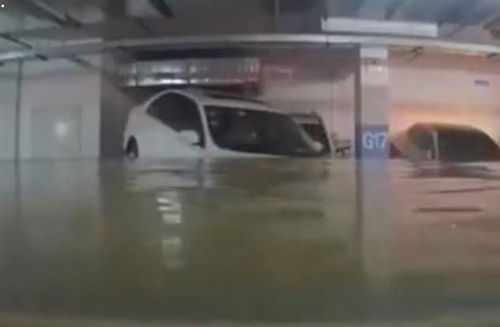 车库被淹洪水完美倒车入库