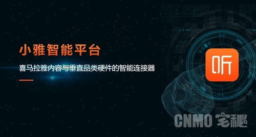 1110号是什么星座喜马拉雅(11.10什么星座)