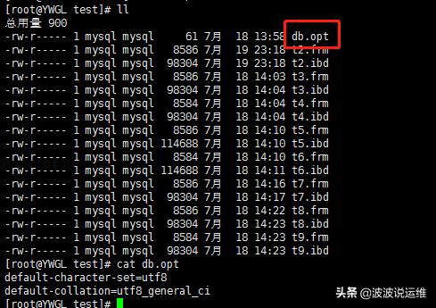 opt目录干什么用的(uos opt软件路径配置文件)