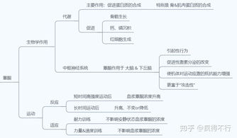 增肌减脂系列 增肌的原理 这种免费科普都不看,你还练个啥 