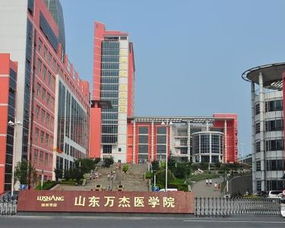 山东万杰医学院？山东万杰医学院改名了吗