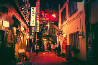 海外引话题东京小巷夜景系列组图 米粒分享网 Mi6fx Com