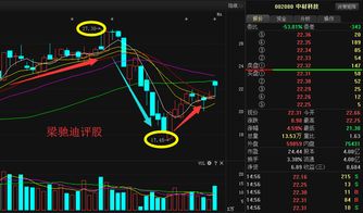 中材科技股份有限公司的股票概况