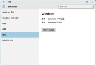 家里电脑装win10专业版还是家庭版