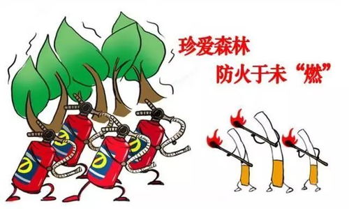 珍爱森林,防火于未 燃 