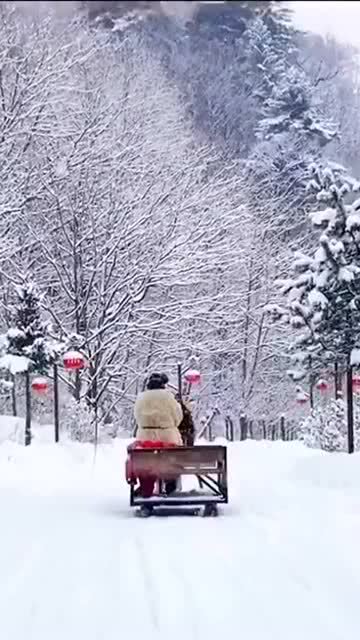 早安 雪中童话世界,中国雪乡 