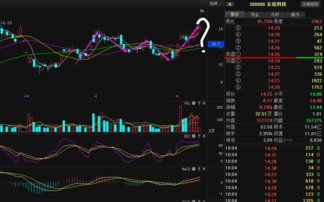 定增已实施价跌破增发价获配股东真的要亏钱吗