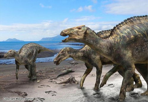 轰动一时的发现 在日本发现了一种新的恐龙的遗骸