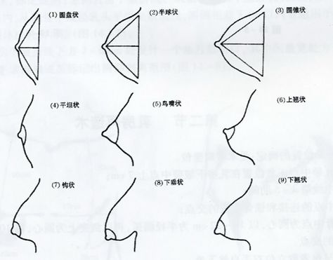 什么是黄金三角形胸型 