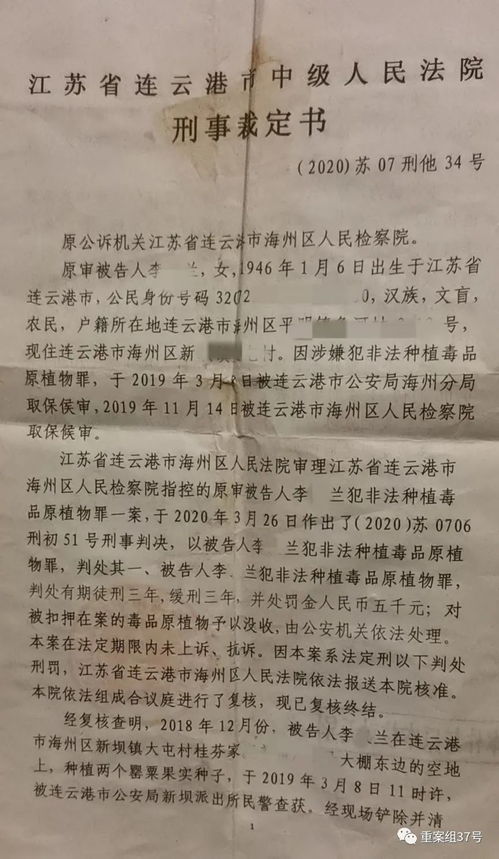 明知故犯打一个准确生肖