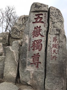 泰山景区周边停车指南泰山景区周边有停车的地方吗(夜爬泰山红门附近有免费停车场吗)