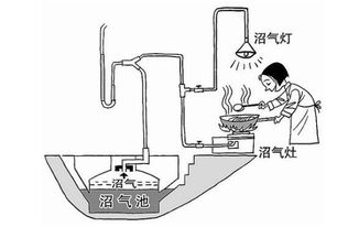 简介 常见沼气池建造技术及其优缺点分析