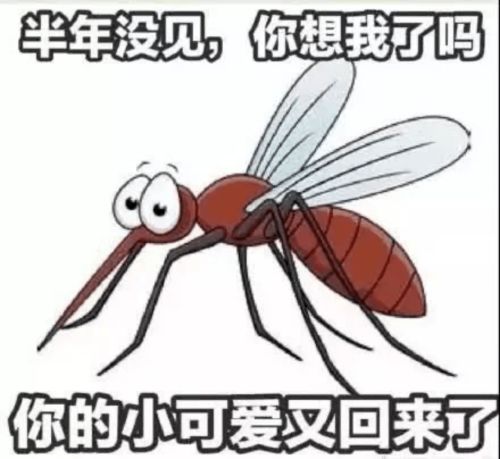 为什么被蚊子叮的总是你 怎么做才能远离蚊子