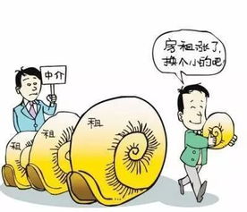 眼泪与套路 毕业租房也是一场盛大的修行