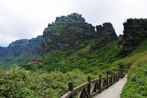 贵州铜仁梵净山 门票 观光车 快速出票