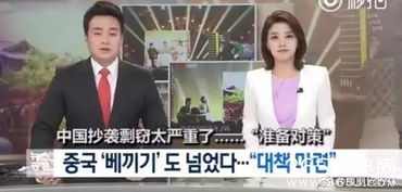 中国综艺节目抄袭被韩国政府点名,你们怎么看