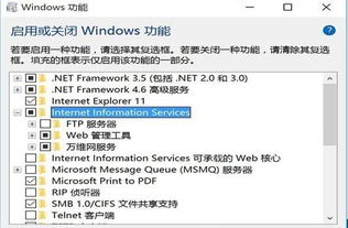 win10如何iis