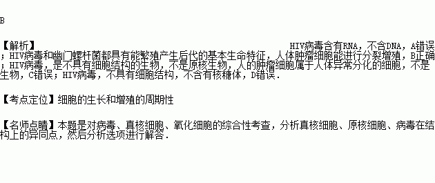 内容模块在哪里?请用图表示出来