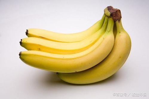 怀孕后还可以吃香蕉的吗听说香蕉比较凉性，所以不知道能不能吃(怀孕能吃香蕉吗?听老人家说吃香蕉滑肠不好)