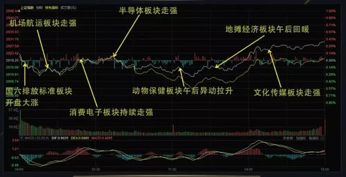 上海大健康的次新股有哪些？