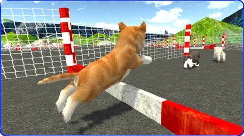 小狗跑酷比赛模拟器中文版 小狗跑酷比赛模拟器安卓版下载 v1.2 跑跑车安卓网 