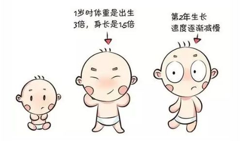 怎样的宝宝才算是 白白胖胖 的宝宝呢