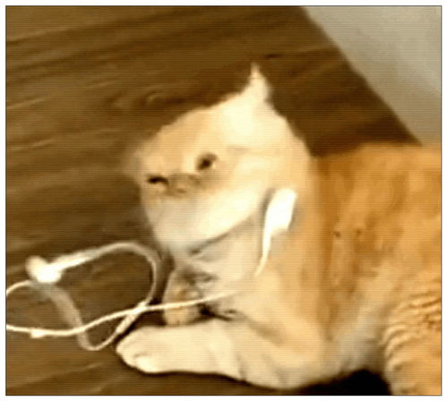 正在睡觉的猫咪,主人给它戴耳机放DJ,猫咪反应笑弯腰