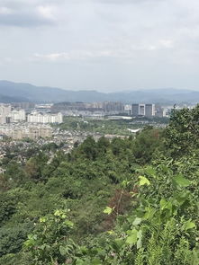 德清市区一日游 