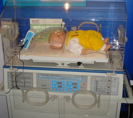 新生儿吸氧装置 多功能空气氧气混合仪 